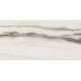 REX CÉRAMIQUES PREXIOUS WHITE FANTASY BRILLANT 60X120 RECTIFIÉ 9mm