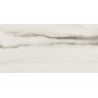 REX CÉRAMIQUES PREXIOUS WHITE FANTASY BRILLANT 60X120 RECTIFIÉ 9mm