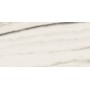 REX CÉRAMIQUES PREXIOUS WHITE FANTASY MATTE 30X60 RÉCTIFIÉ 9mm