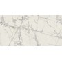 REX CÉRAMIQUES PRÉCIEUX TRÉSOR DE MONTAGNE GLOSSY 60X120 RÉCTIFIÉ 9mm