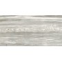 REX CÉRAMIQUES PREXIOUS PERLE ATTRACTION MATTE 30X60 RECTIFIÉ 9mm