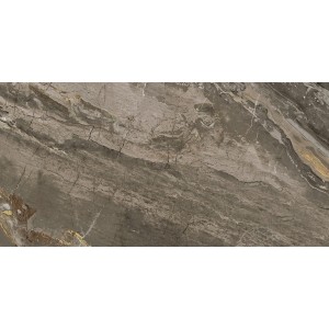 REX CÉRAMIQUES PREXIOUS DREAM ARABESQUE BRILLANT 30X60 RÉCTIFIÉ 9mm