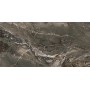 REX CÉRAMIQUES PREXIOUS DREAM ARABESQUE BRILLANT 30X60 RÉCTIFIÉ 9mm