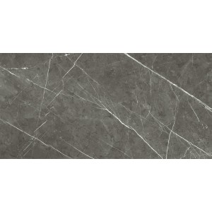 REX CÉRAMIQUES PREXIOUS CHARME AMBRE MAT 60X120 RECTIFIÉ 9mm