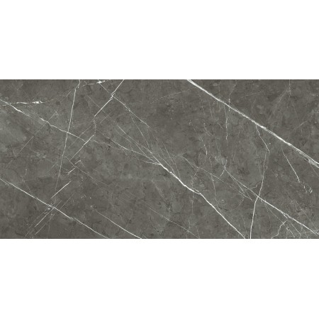 REX CÉRAMIQUES PREXIOUS CHARME AMBRE MAT 60X120 RECTIFIÉ 9mm