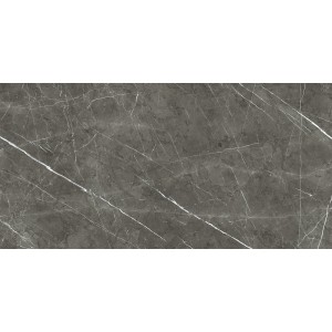 REX CERAMICHE PREXIOUS CHARME AMBRE BRILLANT 60X120 RECTIFIÉ 9mm