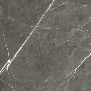 REX CÉRAMIQUES PREXIOUS CHARME AMBRE MAT MAT 120X120 RETTIFIÉ 6mm