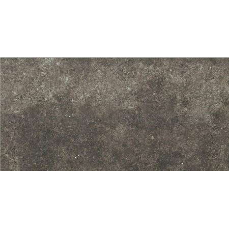 REX CÉRAMIQUES LA ROCHE MUD ANTIQUÉ 60X120 RECTIFIÉ 9mm R10