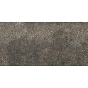 REX CÉRAMIQUES LA ROCHE MUD ANTICATO 40X80 RECTIFIÉ 9mm R10