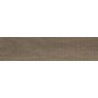 FAP CERAMICHE NUANCES 22,5 OUT QUERCIA 22,5X90 RECTIFIÉ R11