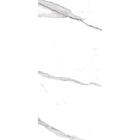 FAP CERAMICHE ROMA 30 STATUARIO MATT 30X60 RECTIFIÉ
