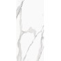 FAP CERAMICHE ROMA 30 STATUARIO MATT 30X60 RECTIFIÉ