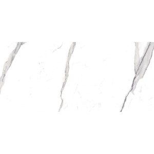 FAP CERAMICHE ROMA 50 STATUARIO MATT 50X120 RECTIFIÉ