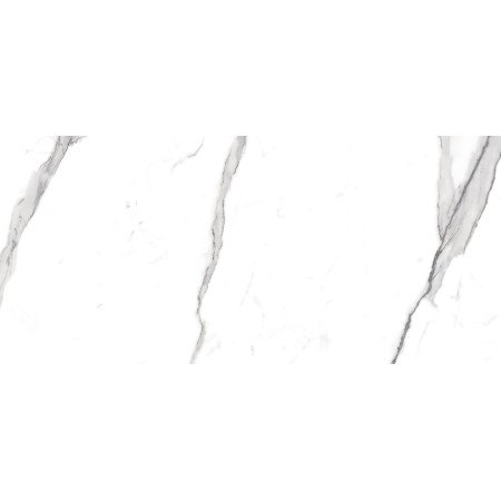 FAP CERAMICHE ROMA 50 STATUARIO MATT 50X120 RECTIFIÉ