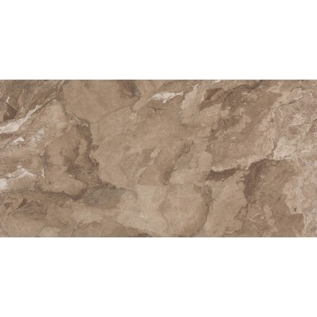 FAP CERAMICHE TRANSPARENT 80X160 CAMOU BEIGE RECTIFIÉ