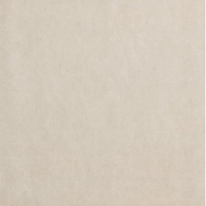FAP CERAMICHE TRANSPARENT 60X60 GRIS MATT R10 RECTIFIÉ