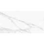 EMILCERAMICA PLAQUE DE MARBRE STATUARIO MICHELANGELO FULL LAPPATO 30X60 RECTIFIÉ