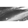 EMILCERAMICA PLANCHE EN MARBRE CALACATTA RENOIR POLIE 60X120 RÉCTIFIÉE