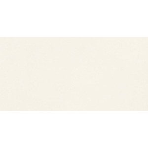CASALGRANDE PADANA Unicolore Blanc Absolu 60x120 10mm