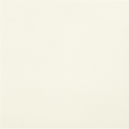 CASALGRANDE PADANA Unicolore Blanc Absolu 60x60 10mm