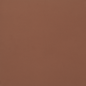 CASALGRANDE PADANA Unicolore Rouge Brique 30x30 8mm