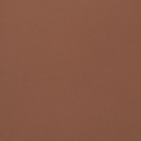 CASALGRANDE PADANA Unicolore Rouge Brique 30x30 8mm