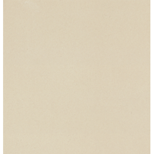 CASALGRANDE PADANA Unicolore Blanc B Technic R10 30x30 14mm