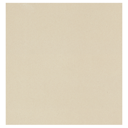 CASALGRANDE PADANA Unicolore Blanc B Technic R10 30x30 14mm