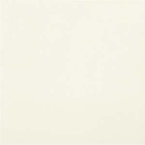 CASALGRANDE PADANA Uni-colore Blanc Absolu 20x20 8mm