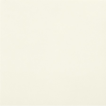 CASALGRANDE PADANA Uni-colore Blanc Absolu 20x20 8mm