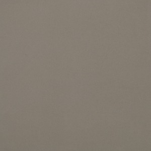 CASALGRANDE PADANA Unicolore Gris Cendre Technic R10 20x20 8mm