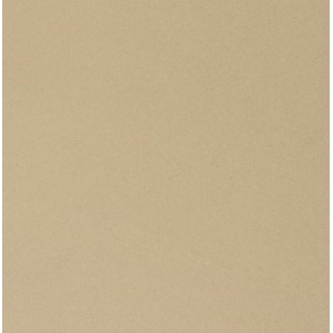 CASALGRANDE PADANA Unicolore Blanc A Technic R10 20x20 8mm