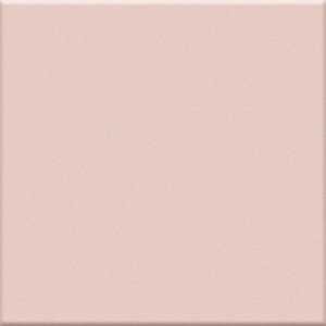 VOGUE EN ROSE 20X20 (MAT)