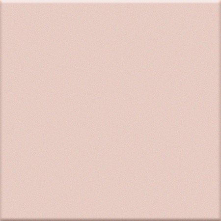 VOGUE EN ROSE 20X20 (MAT)