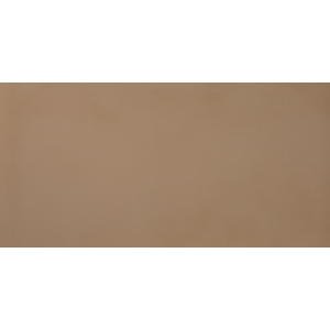 CASALGRANDE PADANA R-evolution Terre 60x120 10mm