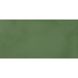 CASALGRANDE PADANA R-évolution Vert R10 60x120 10mm