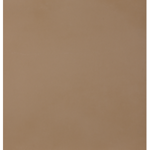 CASALGRANDE PADANA R-evolution Terre R10 60x60 10mm