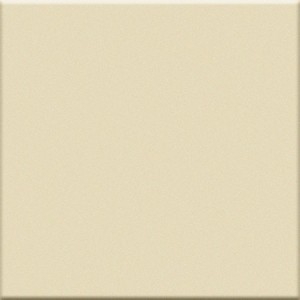 VOGUE TRANSPARENCE 20X20 TR SOIE (BRILLANTE)