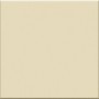 VOGUE TRANSPARENCE 20X20 TR SOIE (BRILLANTE)