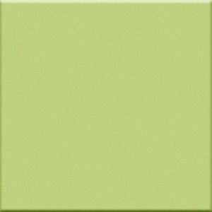 VOGUE TRANSPARENCE 20X20 TR PISTACHE (BRILLANT)
