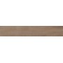 SICHENIA NATURE TABACCO 20X120 RETTIFICATO