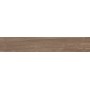 SICHENIA NATURE TABACCO 20X120 RETTIFICATO