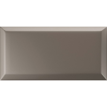 VOGUE INTERNE BISELÉ 10X20 EN GRIS (MAT)