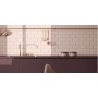 VOGUE INTERNO BISELLO 10X20 EN ROSE (MAT)