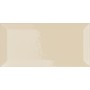VOGUE TRANSPARENCE BISELLO 10X20 TR SETA (BRILLANTE)
