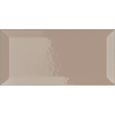 VOGUE TRANSPARENCE BISELLO 10X20 TR TORTE (BRILLANT)