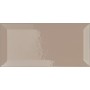 VOGUE TRANSPARENCE BISELLO 10X20 TR TORTE (BRILLANT)