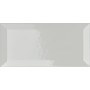 VOGUE TRANSPARENCE BISELLE 10X20 TR ARGENT (BRILLANT)