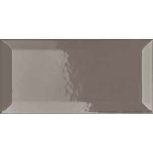 VOGUE TRANSPARENCE BISELÉE 10X20 TR GRIS (BRILLANT)