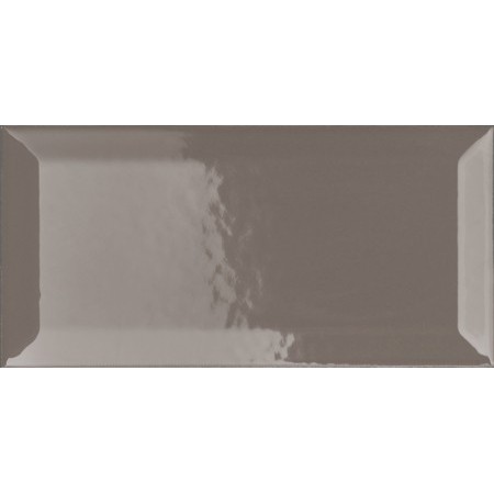VOGUE TRANSPARENCE BISELÉE 10X20 TR GRIS (BRILLANT)